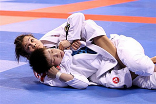 Illustration for article titled A Primer to Martial Arts: Part II (Grappling Arts)